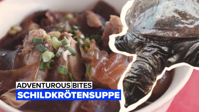 Adventurous bites: Schildkrötensuppe