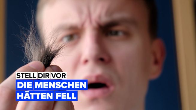 Stell dir vor, wir Menschen hätten ein Fell.